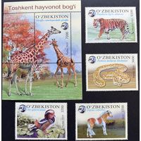 Узбекистан 2019 Фауна. Ташкентский зоопарк. Жираф.Тигр. Лошадь. Змея.