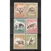 ФФ2 Индонезия 1959 Фауна