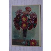 Шагин И.(фото), Астры; 1960, чистая.