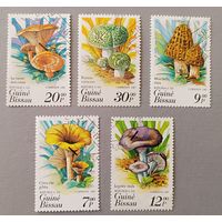 Грибы. Гвинея-Биссау, 1985