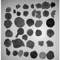 Вислые печати и пломбы Дрогиченского типа