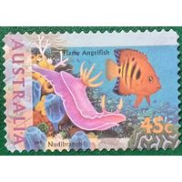 Австралия 1995. Морская фауна