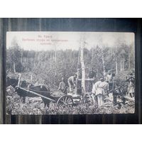 Открытое письмо,1909 г. На Урале. Пробивка шурфа на платиновом прииске.