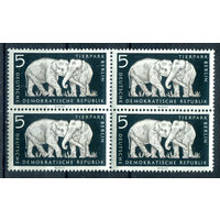 ГДР - 1956г. - Зоопарк в Берлине, слоны - 1 кварт - MNH [Mi 551]. #1-GG-24-KS-1