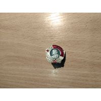 Орден Ленина(муляж)