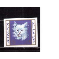Фауна , Аджман-1968(Мих.321В) ,  **,  Кошки
