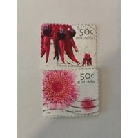 Две марки из серии "Австралийские полевые цветы" - Свайнсона прекрасная (Swainsonia formosa) и Болотная ромашка (Actinodium cunninghamii)