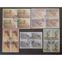 СССР. 1985 год. Фауна. 4 полные серии. 5 квартблоков