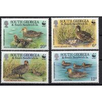 Южная Джорджия 1992. Фауна. Утки. 4 марки (203-206)