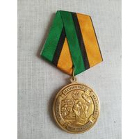 Медаль. За строительство железной дороги. ЖДВ Южного военного округа.