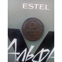 3 копейки 1924 года домашняя