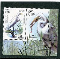 Беларусь 2008. Птица года. Большая белая цапля. Марка с купоном