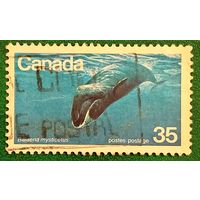 Канада 1979. Гренландский кит