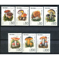 Йемен - 1991г. - Грибы - полная серия, MNH [Mi 37-43] - 7 марок