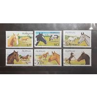 Филиппины. Фауна. Лошади (1192)