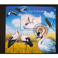 ЛИСТ ФАУНА ПТИЦЫ  СТО