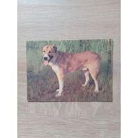 Календарик 1993