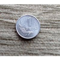 Werty71 Польша 1 грош 1949 Блеск