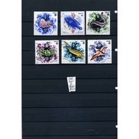 СССР, 1975, ВЫСТАВКА ЭКСПО-75, ФАУНА МОРЕЙ  1975  серия 6м  гашен