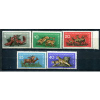 ГДР - 1959г. - Дикие животные - 5 марок - полная серия, MNH, номинал 40 гашёный с клеем [Mi 737-741]. #1-GG-24-A-2