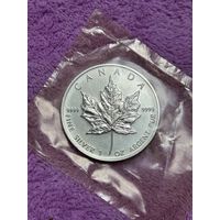 Канада. 5 долларов 2002 год. Серебро 999,9. 31,1 гр.