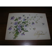 Поздравляю Цветы Госиева 1984 год Чистая