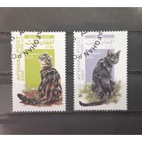 Афганистан. 2000 год. Фауна. Кошки (2 марки из серии)