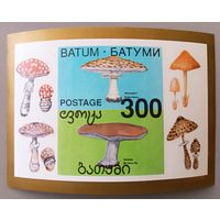 Ядовитые грибы. Грузия, блок