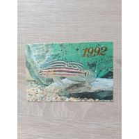 Календарик 1992