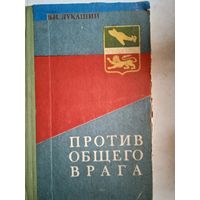 Против общего врага.нормандия-неман