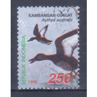 [260] Индонезия 1998. Фауна.Птицы.Утки. Гашеная марка.