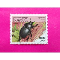 Камбоджа. Жуки. ( 1 марка ) 1998 года. 2-4.