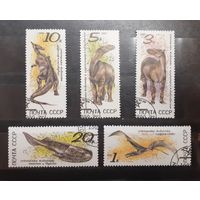 СССР. 1990 год. Фауна. Ископаемые животные. Динозавры (139)