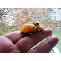 Винтажная брошь. ПАУК. 60е годы.