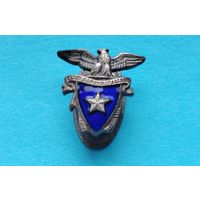 Значок франчик в коллекцию. Оригинал. Итальянский альпийский клуб