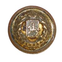 Пуговица чиновников Виленской губернии 1878-1917. 15 мм