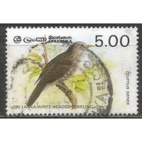 Шри Ланка. Птицы. Скворец. 1987г. Mi#790.