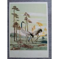 1958. Курдов. Журавли