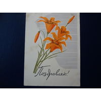 Поздравляю!  Цветы.  1963 г.