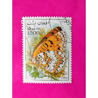 Афганистан. Бабочка. ( 1 марка ) 1998 года. 2-13.
