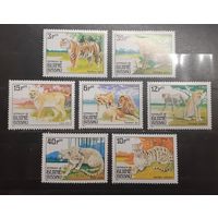 Гвинея Бисау. 1984 год. Фауна. Дикие кошки (702)