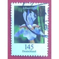 Германия, 2006 г., флора, Ирис