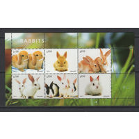 Малави 2011** Фауна Кролики
