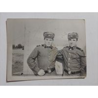 Фото в коллекцию