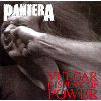 Pantera Vulgar Display Of Power