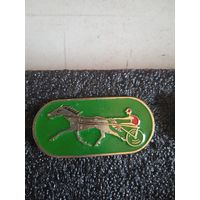 Конный спорт