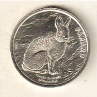 Коста-Рика 50 колон 2023 Фауна экосистемы - Парамо. Горный кролик