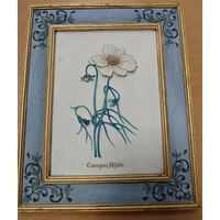 Пано, Кореопсис. 24x19. Тяжелая