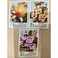 Никарагуа. Флора. Цветы
