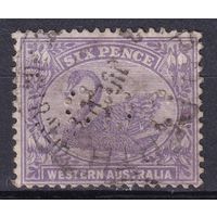 157.Aust. Великобритания. Австралийские штаты. Западная Австралия. Чёрный лебедь. Стандарт. 1906 г. 6p. Mi.#47. Перфин.